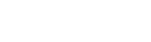 Nexent